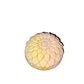 Mangocado Soap Fun Molds