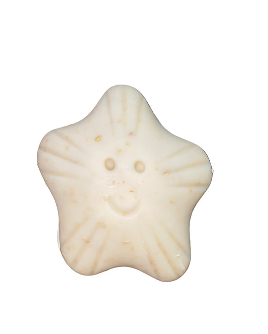 Sea - Star Fish Fun Mold Soap